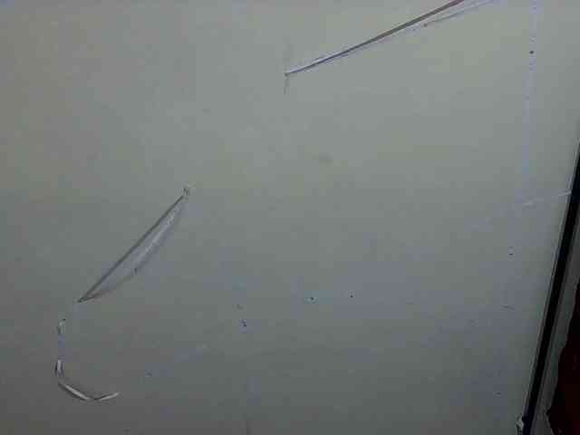 StarEli webcam