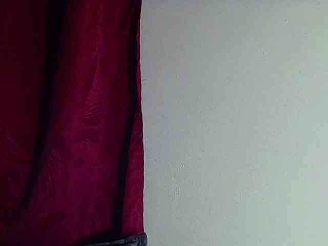 StarEli webcam