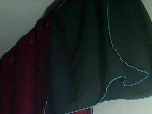 StarEli webcam