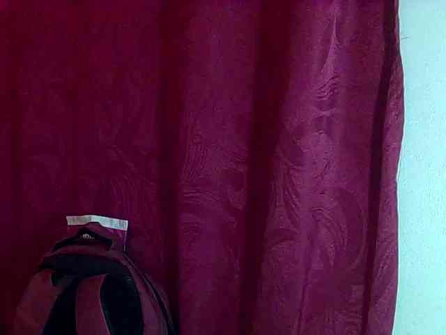 StarEli webcam