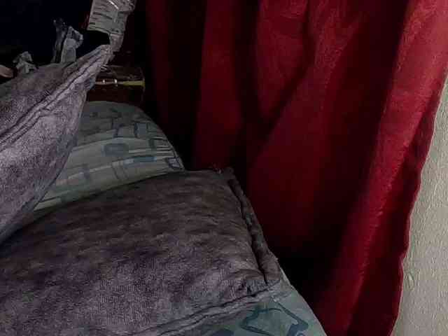StarEli webcam