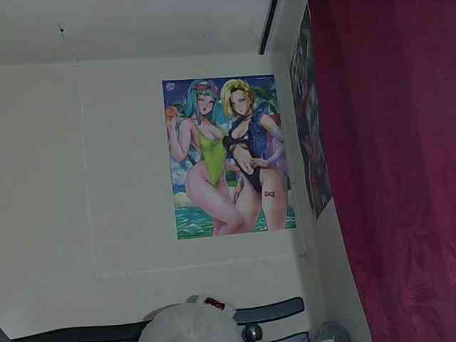 StarEli webcam