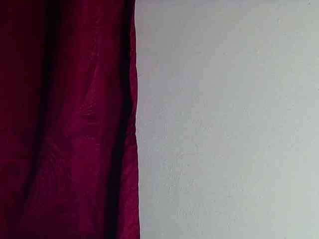 StarEli webcam