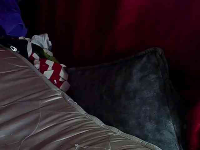 StarEli webcam