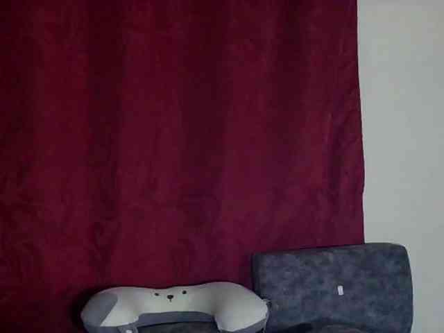 StarEli webcam