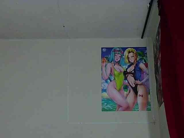 StarEli webcam