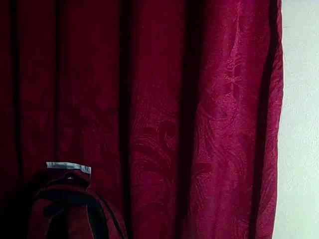 StarEli webcam