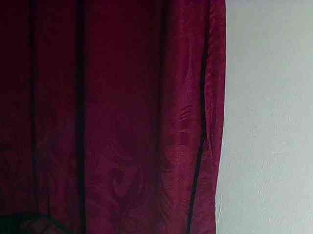 StarEli webcam