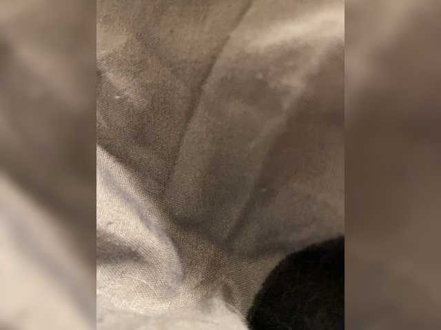 Make-it-nasty live cam preview