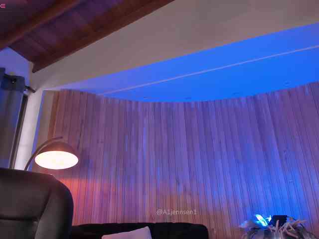 AllyJensen webcam