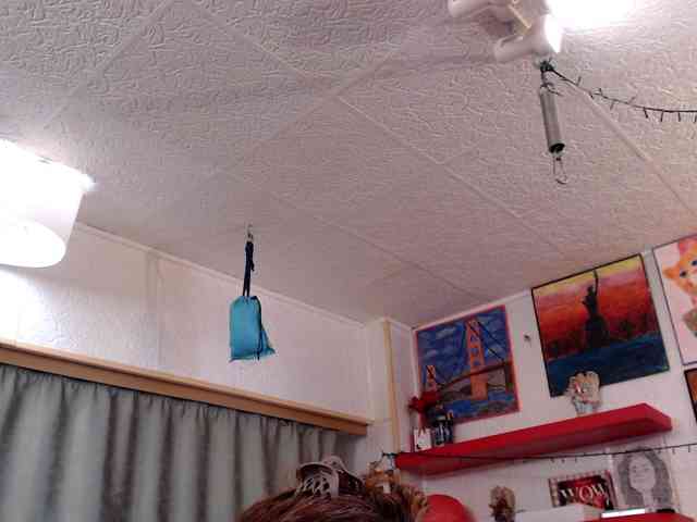 kellysurfing webcam