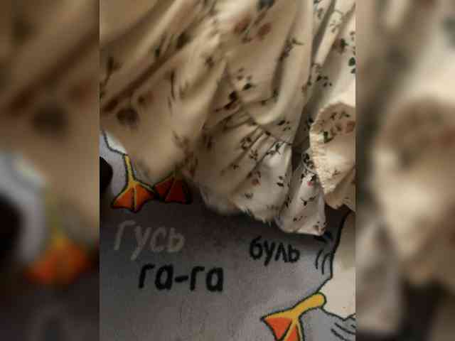 Модель: markAndhella