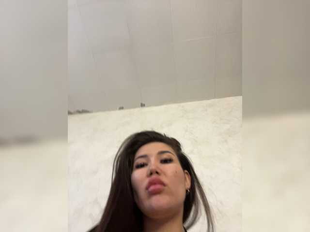 -Ameli-