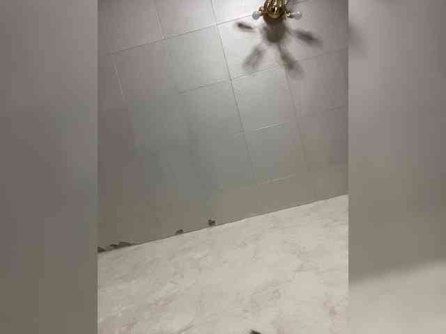 -Ameli- webcam