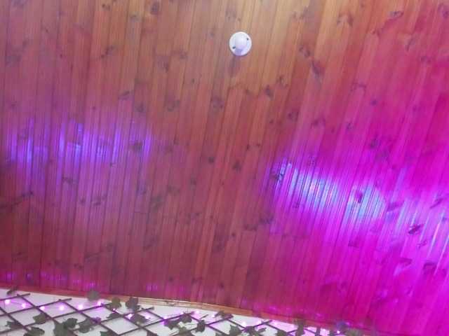 Pucca0 live cam on BongaCams