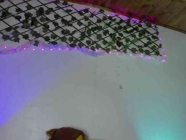 Pucca0 webcam
