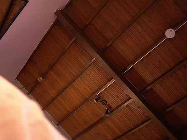 IzzyWild webcam