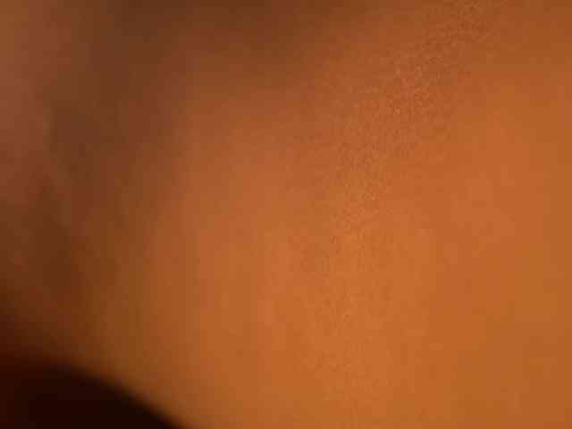 IzzyWild