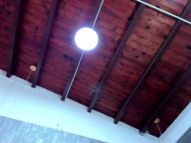 lissa-jhonson webcam