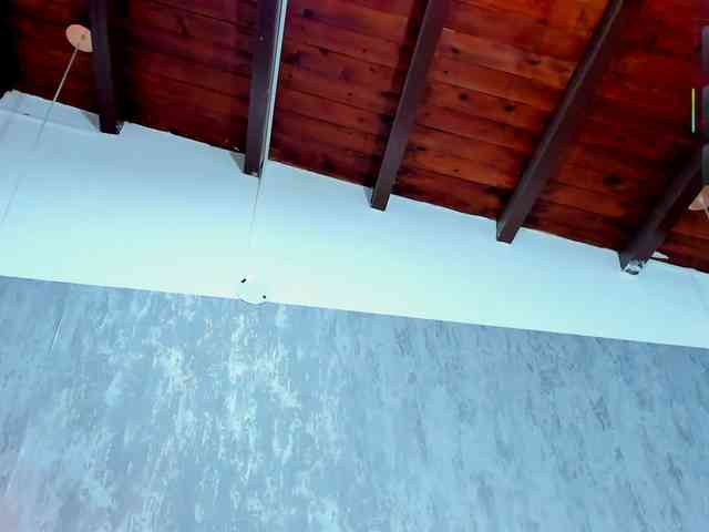 lissa-jhonson webcam
