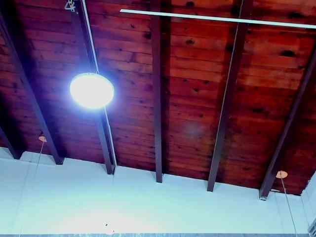 lissa-jhonson webcam