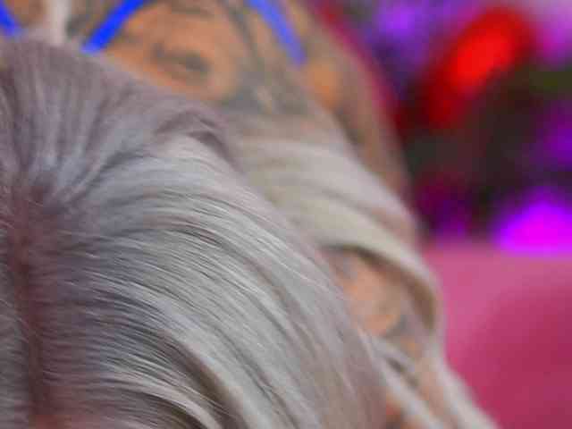 TheFallingAngel webcam