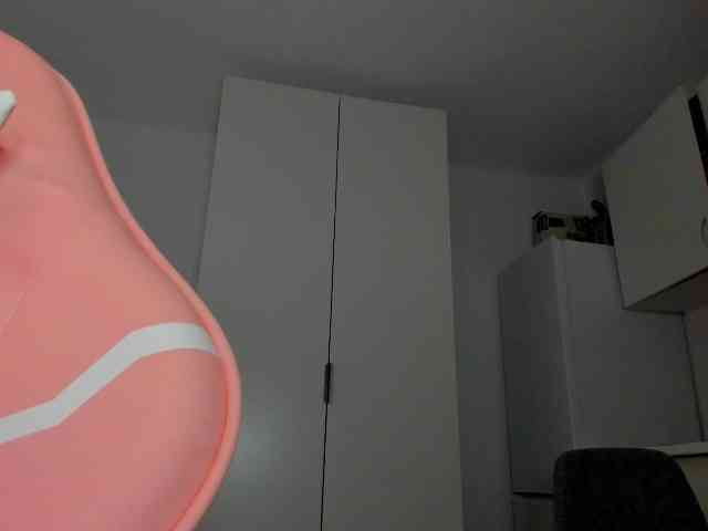 ZoiKissy webcam