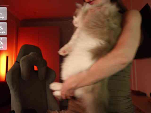Coconutkitty webcam