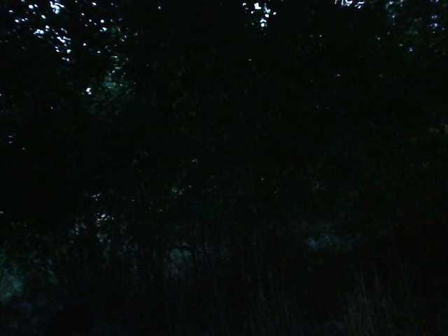 Kevin_strim preview