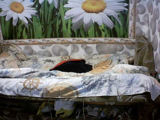 Preview of natalochka