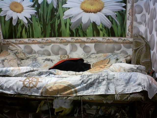 Ihor5656's BongaCams show and profile