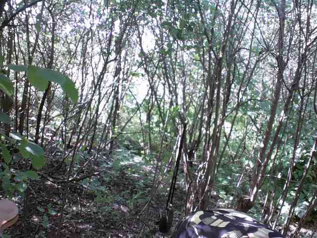 Marinochka5656 webcam