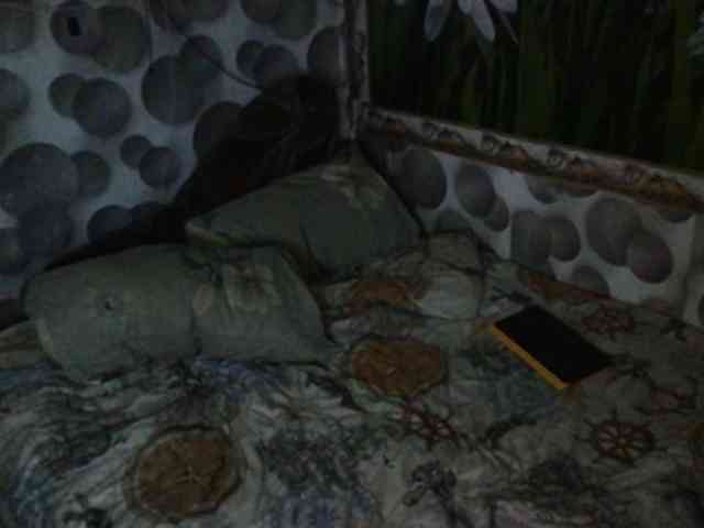 Marinochka5656 webcam