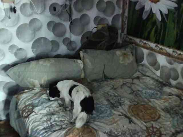 Marinochka5656 webcam