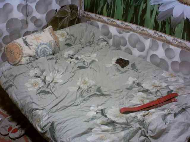 Marinochka5656 webcam
