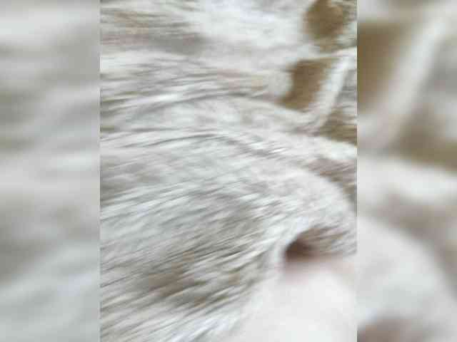 Zorbal3x Sex Cam Show