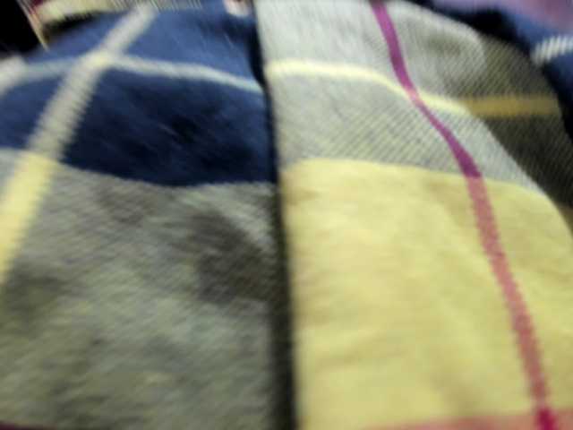 Bisexyeliz35
