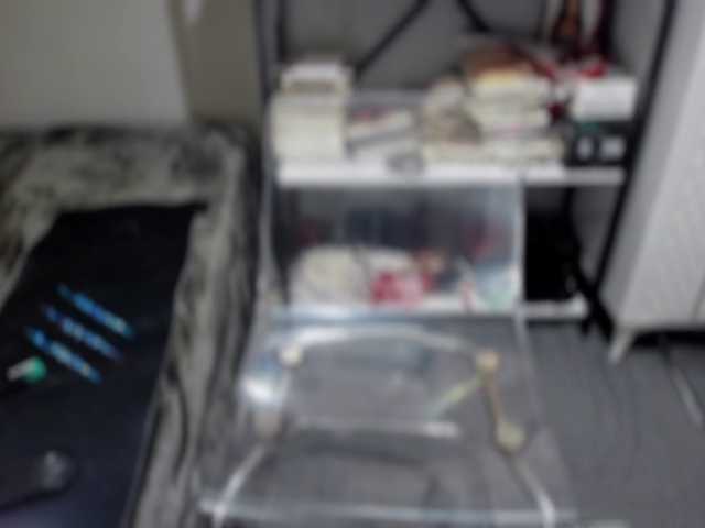 Bisexyeliz35 live cam preview