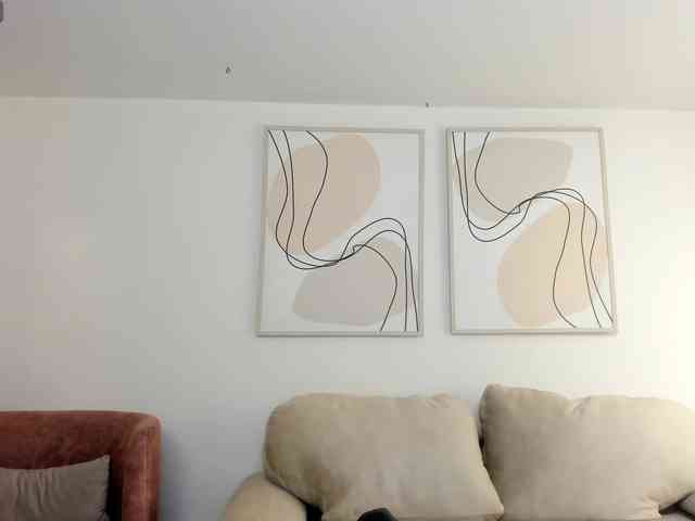 AnaisNin1 webcam