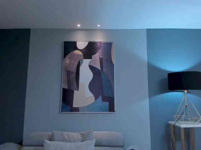 AnaisNin1 webcam
