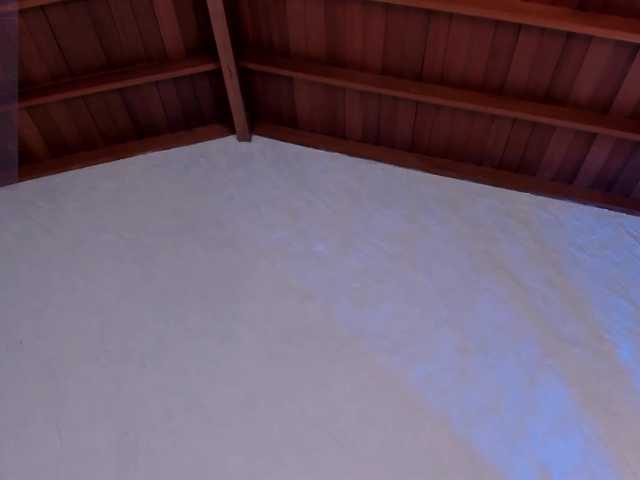 HannaConnor live cam preview