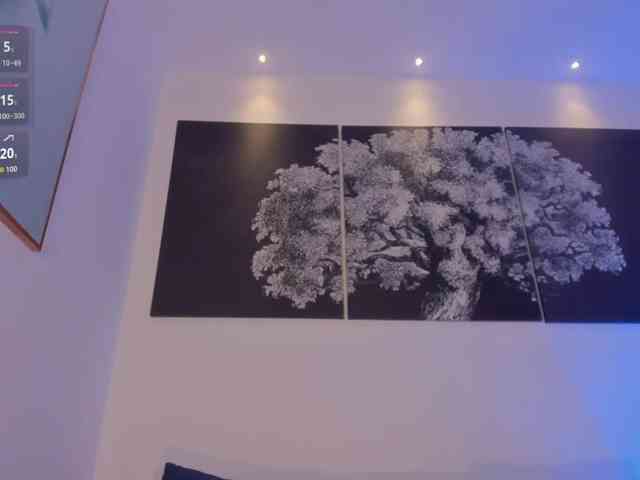 HannaConnor webcam