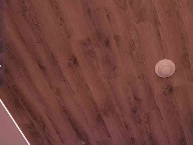 HannaConnor webcam