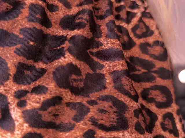 HannaConnor webcam