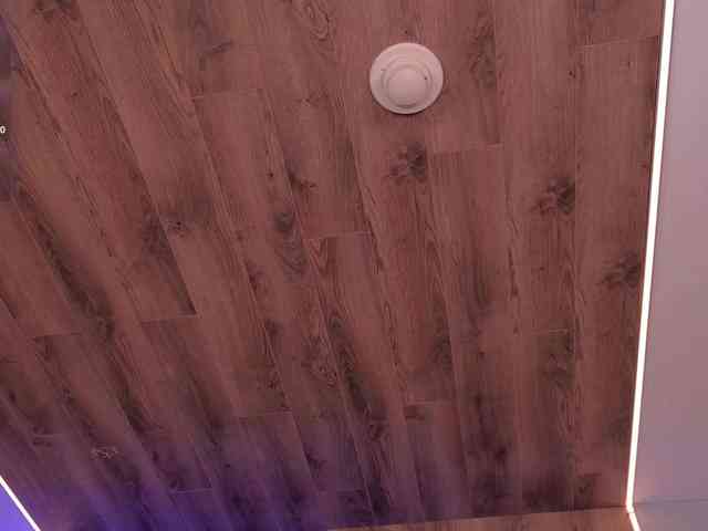 HannaConnor webcam