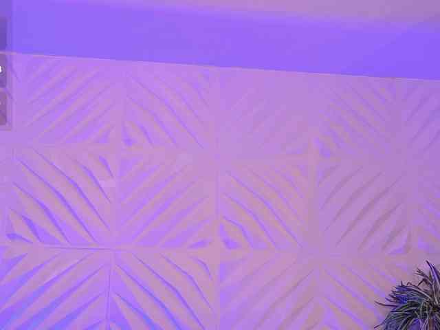 HannaConnor webcam