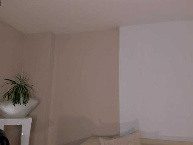 BellaRose's BongaCams show and profile