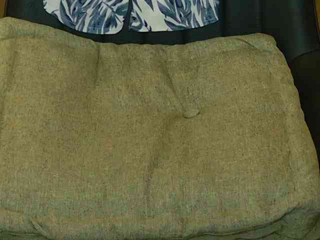 Sashanotfound webcam