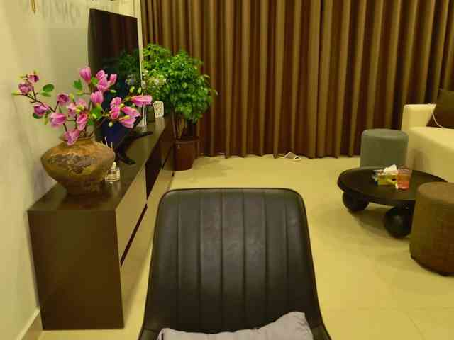 Sashanotfound webcam