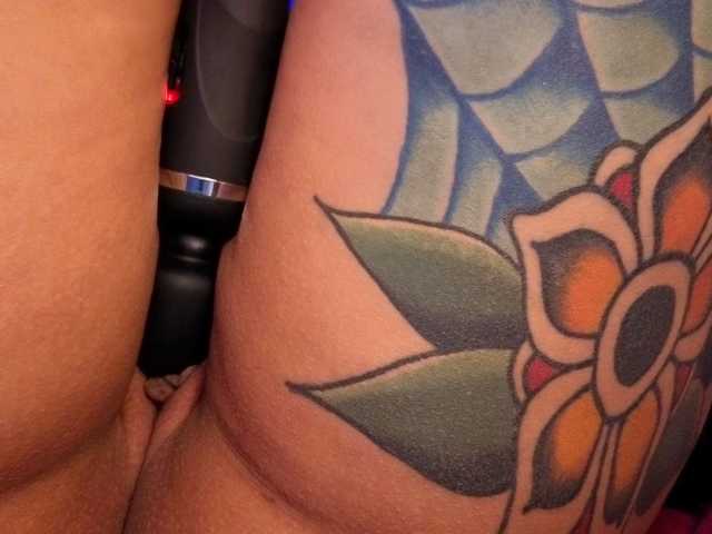 miacanelaxo online